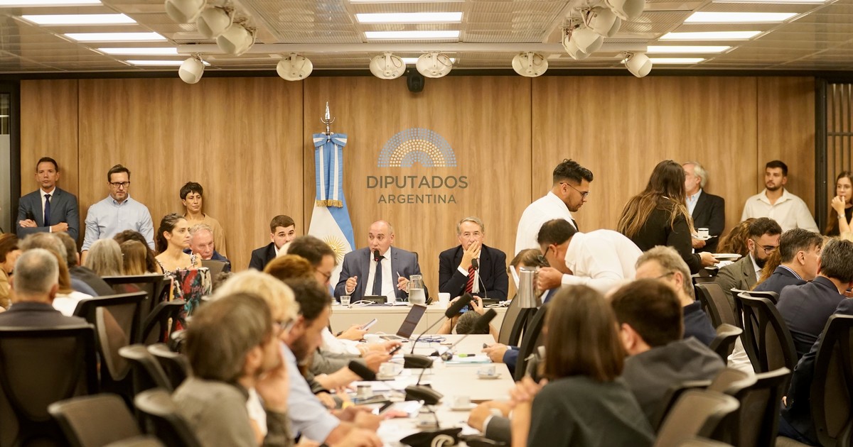 con-una-fuerte-pelea-entre-el-oficialismo-y-la-oposicion-arranca-este-miercoles-la-audiencia-por-la-ley-de-glaciares