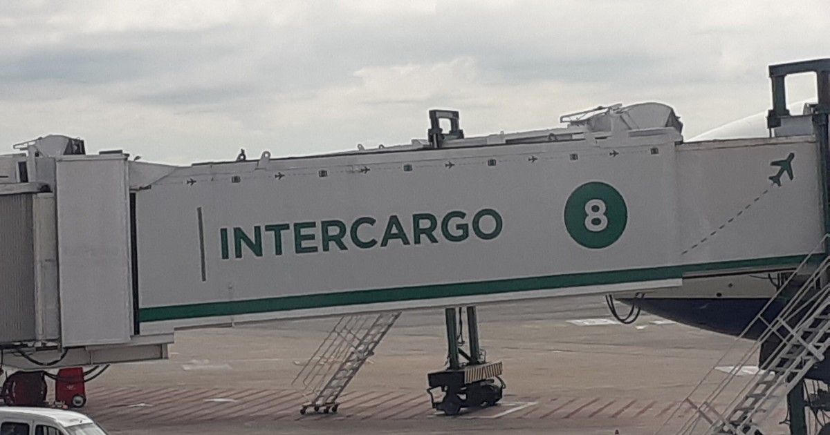 intercargo-sale-a-la-venta:-cuanto-vale,-los-plazos-y-las-claves-de-la-privatizacion