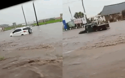 Temporal y caos en Mar del Plata: una lluvia repentina inundó calles y dejó autos bajo el agua
