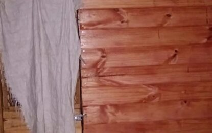 Rescatan a un nene de 11 años con autismo que estaba encerrado en una jaula de madera: detienen a su padre
