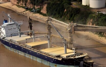 Hito: anuncian la primera exportación en la historia de maíz argentino a China