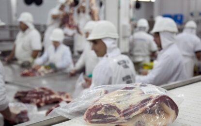 Carne vacuna: una producción mundial que corre de atrás al incremento de la demanda