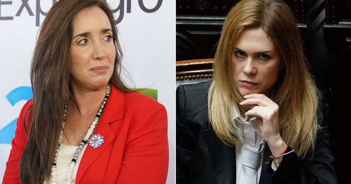 «que-interesante,-contame-mas»:-la-ironica-respuesta-de-victoria-villarruel-a-otra-teoria-conspirativa-de-lilia-lemoine
