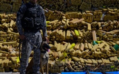 Un perro policía encontró un cargamento de marihuana de 48 toneladas