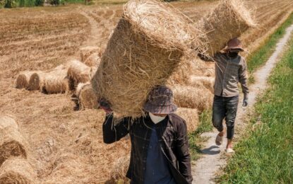Cómo la guerra en Oriente Medio paralizó a un gigante alimentario asiático
