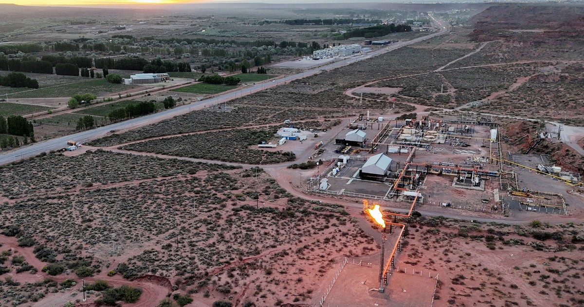 central-puerto-desembarca-en-vaca-muerta-y-entra-al-negocio-del-petroleo-tras-comprar-patagonia-energy