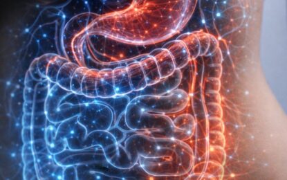 Síndrome del intestino permeable: qué es, cómo se trata y cómo saber si lo tenés