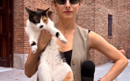 El gato que cuida la Embajada de Francia y la «gatita monja», historias que volvieron furor a una periodista en las redes