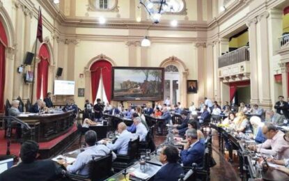 La Cámara de Diputados de Salta le dio media sanción a la reforma electoral provincial