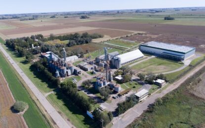 Del campo argentino al mundo: una de las principales cooperativas agrícolas del país consolida su liderazgo global en el mercado de legumbres