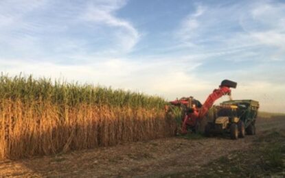 “Extrema gravedad”: en plena zafra azucarera advierten por una norma del Gobierno sobre el abastecimiento de gas natural