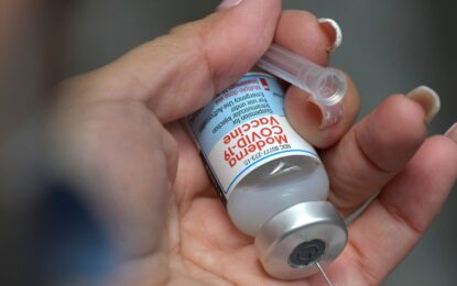 Tras el brote mortal en el crucero MV Hondius, crece el interés por una vacuna contra el hantavirus