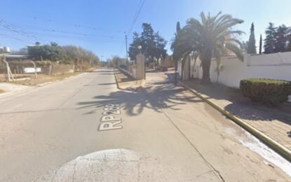Un perro atacó a una nena de 4 años, la mordió en el cuello y la mató