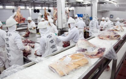 La Unión Europea frena importaciones de carne desde Brasil: qué impacto puede tener para el producto argentino