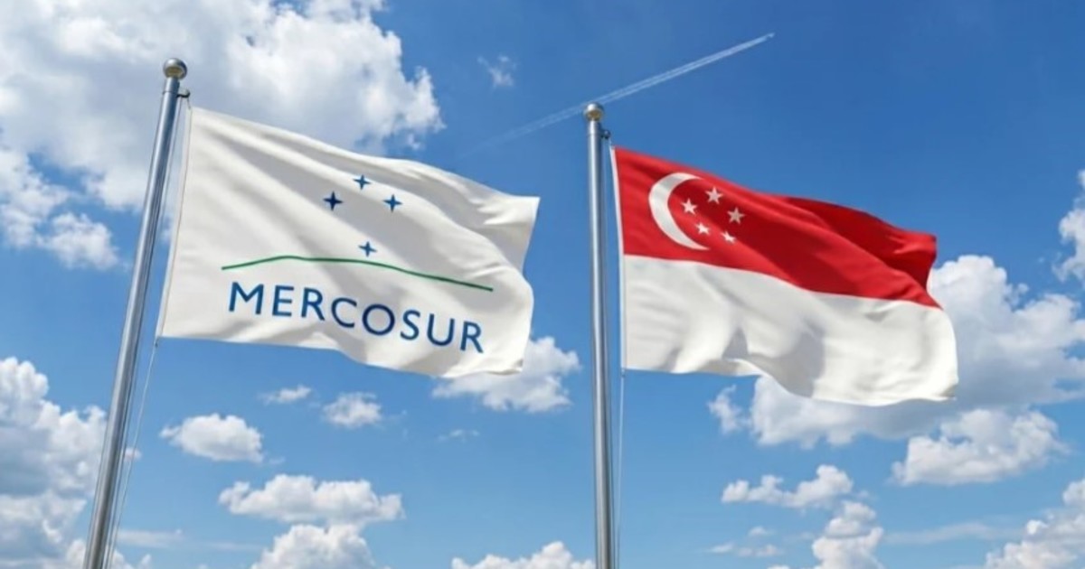 el-senado-le-dio-media-sancion-al-acuerdo-de-libre-comercio-entre-el-mercosur-y-singapur:-«el-primero-con-un-pais-del-sudeste-asiatico»,-dijo-pablo-quirno