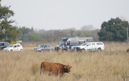Caso Loan: la conclusión que arrojó la inspección ocular de seis horas que hicieron en el campo donde desapareció el nene