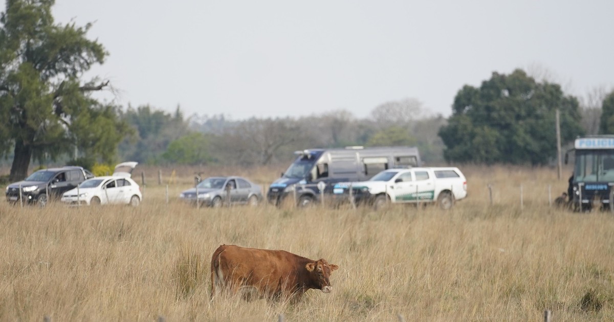 caso-loan:-la-conclusion-que-arrojo-la-inspeccion-ocular-de-seis-horas-que-hicieron-en-el-campo-donde-desaparecio-el-nene