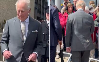 Momento inesperado: una gaviota defecó sobre el rey Carlos III