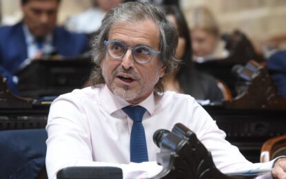«Algunos militan con sotana el regreso del peronismo»: Benegas Lynch apuntó contra García Cuerva por su discurso en el Tedeum