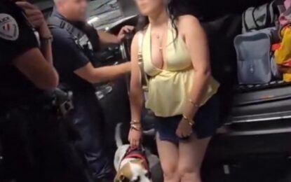 Dejó a su perro tres horas encerrado dentro de un bolso en el baúl del auto con 35 grados en plena ola de calor récord, el video desató un escándalo y ella se justificó: “Se nos pasó el tiempo”