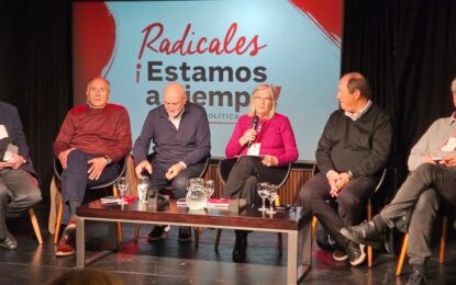 Sectores de la UCR piden que se unifiquen sus bloques legislativos y que no acompañen la eliminación de las PASO