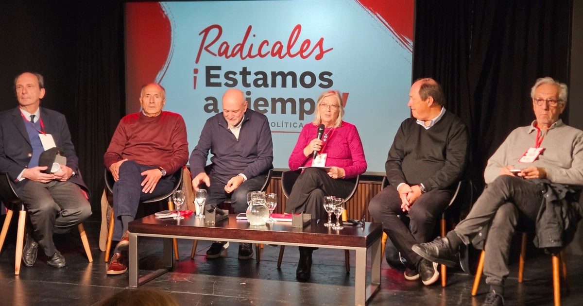 sectores-de-la-ucr-piden-que-se-unifiquen-sus-bloques-legislativos-y-que-no-acompanen-la-eliminacion-de-las-paso