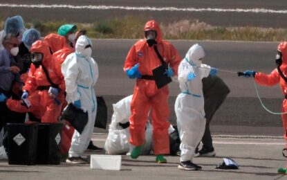 Hantavirus: OMS prevé aumento de casos en próximos días