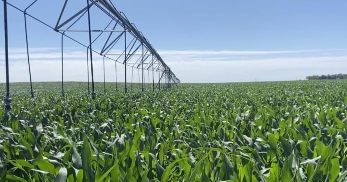 el-gobierno-oficializo-los-bienes-agropecuarios-que-ingresan-en-el-rimi-sin-necesidad-de-una-inversion-minima