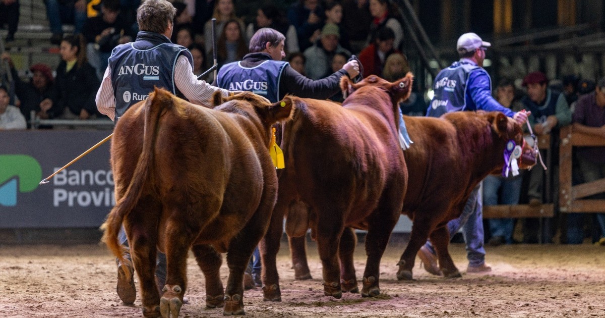 la-interna-de-la-rural-anticipa-un-duro-cruce-en-la-exposicion-de-palermo