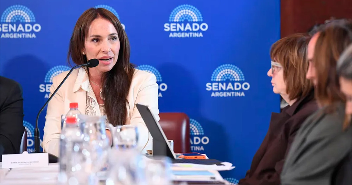 el-gobierno-nombro-a-46-jueces-y-dejo-afuera-a-la-jueza-veronica-michelli