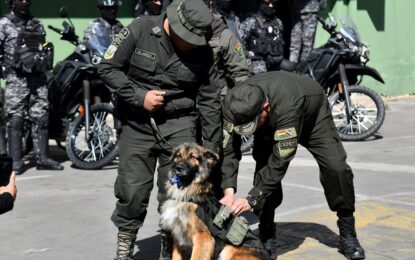 Rex, el perro callejero que fue condecorado y nombrado oficial de la policía