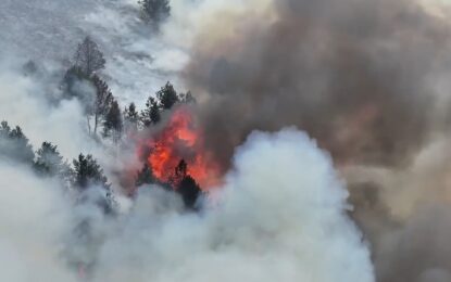 Inglaterra bajo una histórica ola de calor: un incendio forestal arrasó un parque natural