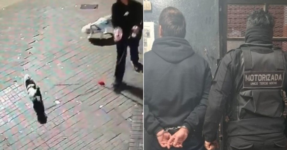 detuvieron-a-un-hombre-que-le-tiro-la-caca-de-sus-perros-a-un-local-de-la-libertad-avanza-en-rosario