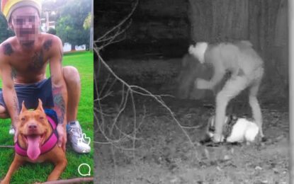 Se mostraba como un influencer amigo de los animales y fue grabado golpeando salvajemente a sus perros