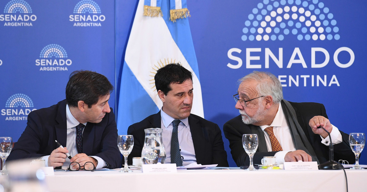 bullrich-apura-una-sesion-en-el-senado-para-darle-a-milei-una-nueva-tanda-de-pliegos-y-cubrir-100-cargos-judiciales