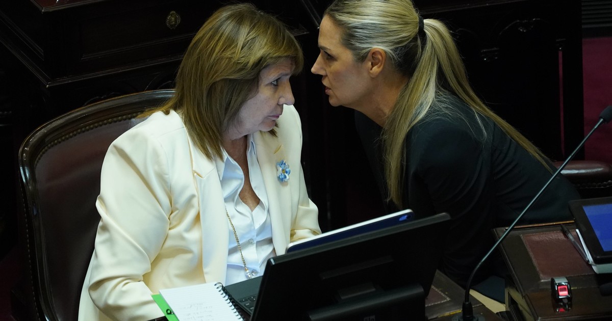 con-retoques,-el-oficialismo-quiere-volver-a-la-carga-con-el-proyecto-para-agravar-penas-por-falsas-denuncias