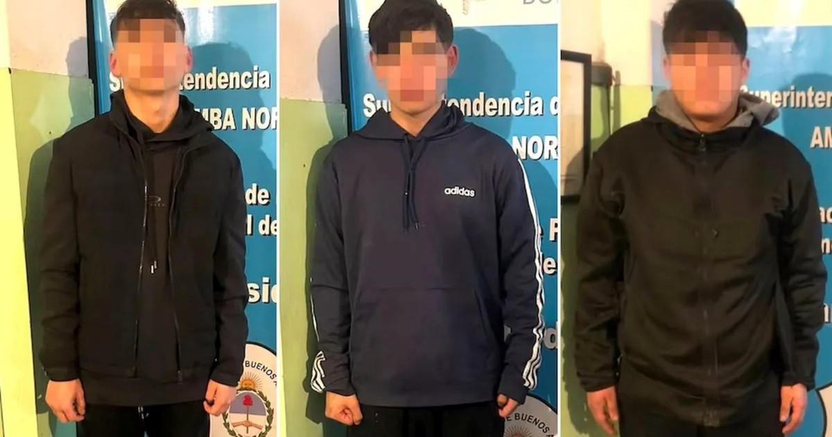 detienen-a-tres-menores-por-intentar-robar-una-casa-en-san-isidro:-los-descubrio-el-dueno-por-las-camaras-de-seguridad