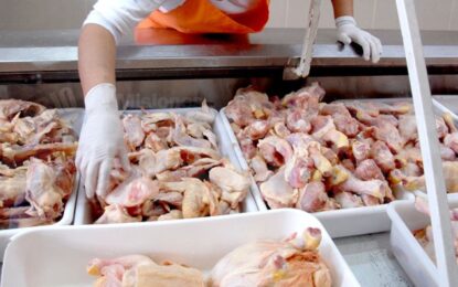 Un hito en la dieta argentina: el pollo desplaza a la carne vacuna