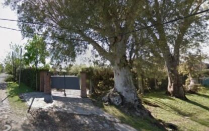 Investigan la misteriosa muerte de una mujer en Villa Elisa: la encontraron con la cabeza dentro de un pozo en el patio de su casa