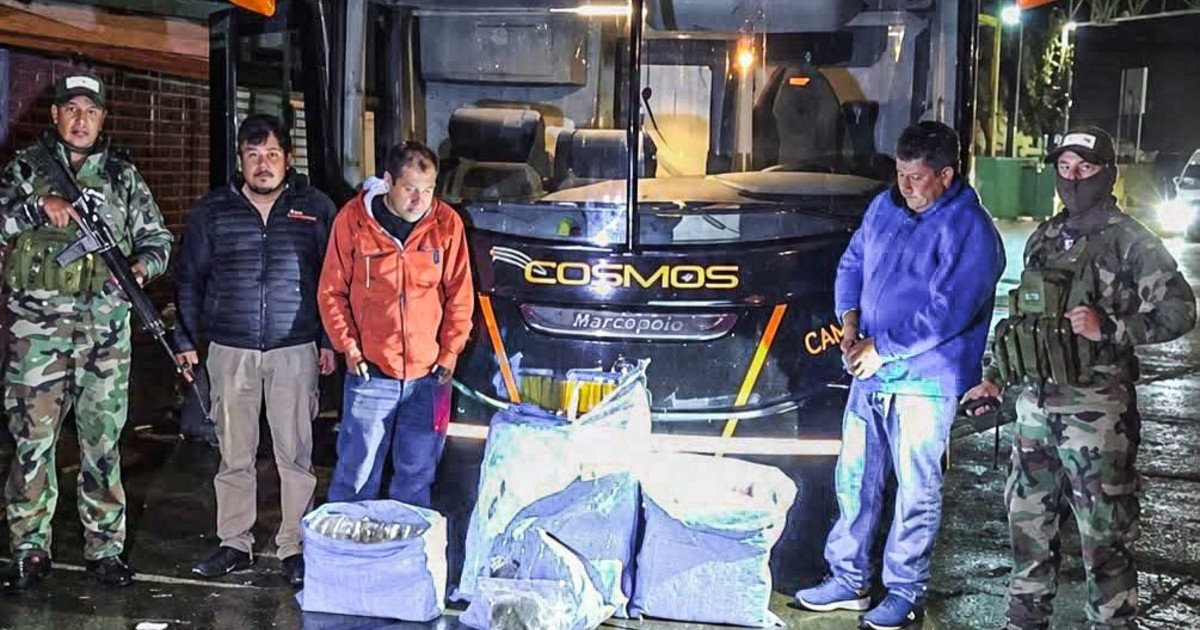incautaron-86,5-kilos-de-marihuana-en-el-micro-que-iba-a-trasladar-a-san-pablo-para-enfrentar-a-bolivar-por-la-copa-sudamericana