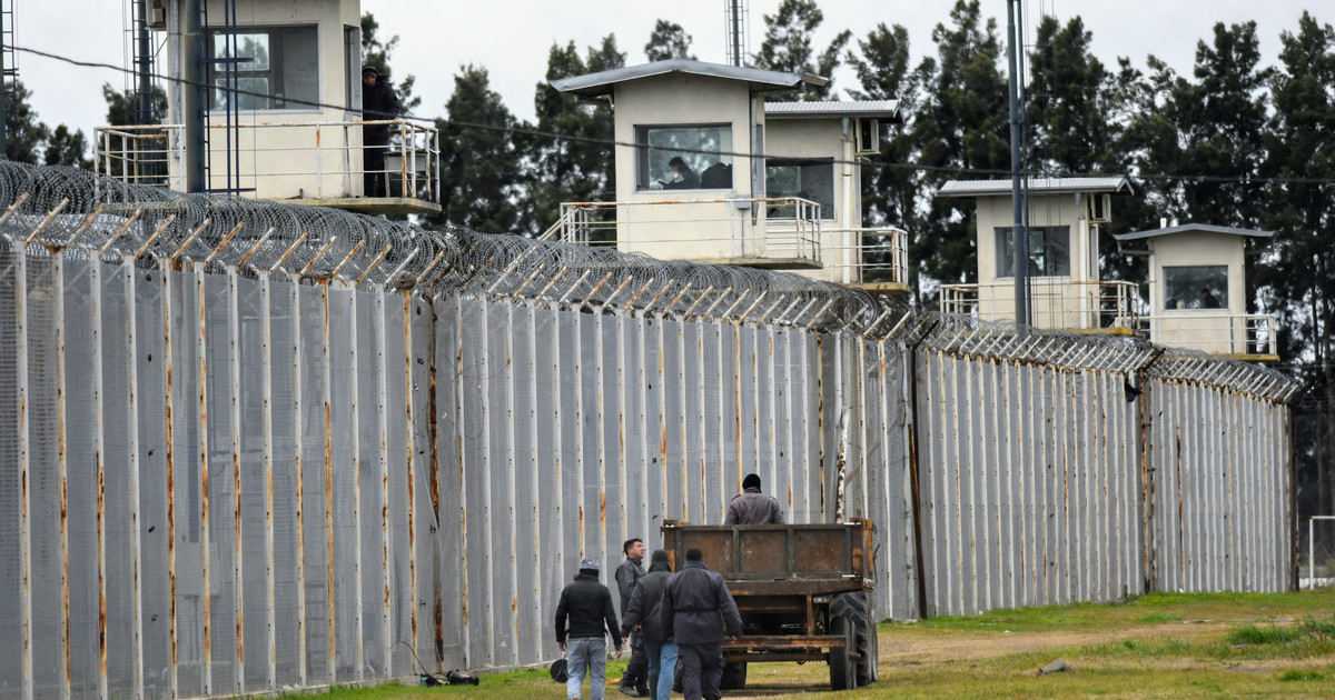 un-preso-pidio-una-extraccion-de-semen-y-su-abogado-hizo-una-presentacion-formal:-“solo-requiere-un-espacio-reservado-dentro-de-la-unidad»