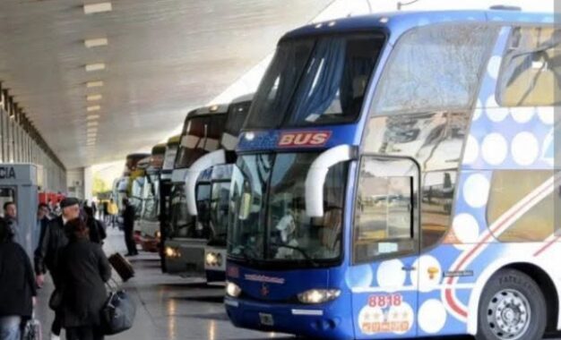El Gobierno oficializó que las personas con discapacidad viajen en micros solo en la planta alta