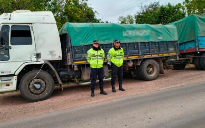 Operativos viales en la provincia: secuestros de camiones con pedido de captura, armas, cargas irregulares y un joven hallado sano y salvo
