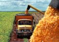 El campo ingresó 2750 millones de dólares por exportaciones en el mes de agosto