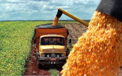 El campo ingresó 2750 millones de dólares por exportaciones en el mes de agosto