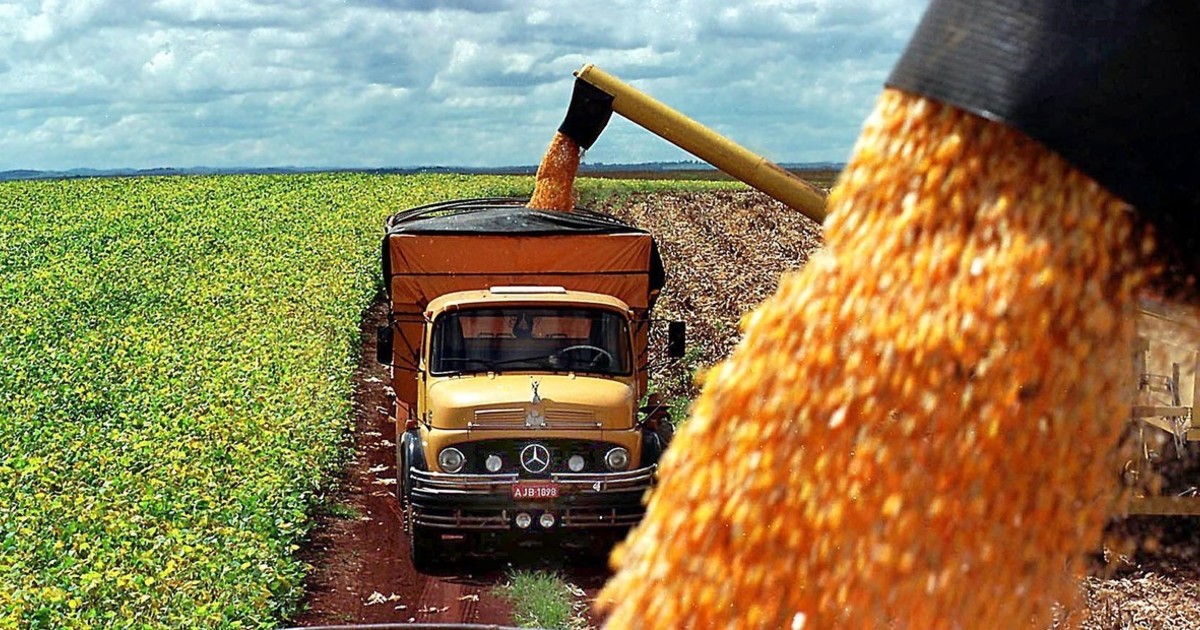 el-campo-ingreso-2750-millones-de-dolares-por-exportaciones-en-el-mes-de-agosto