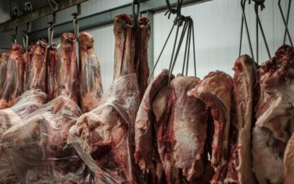 Europa prohíbe la carne de Brasil y rompe una de las patas clave del acuerdo con el Mercosur