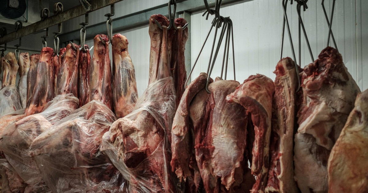 europa-prohibe-la-carne-de-brasil-y-rompe-una-de-las-patas-clave-del-acuerdo-con-el-mercosur
