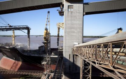 La suba de los granos mejora el aporte de divisas del agro: se esperan 35.200 millones de dólares