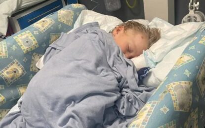 Un perro atacó a su hijo de 4 años y luchó para salvarlo mientras sostenía a su bebé en brazos: «Lo mordió en la cabeza»